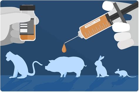 animal testing future impact on health care|new animal testing.